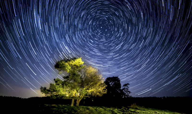 Connect with Nature in the North York Moors