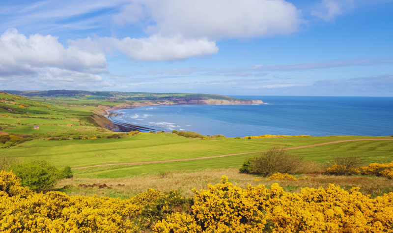 Connect with Nature in the North York Moors