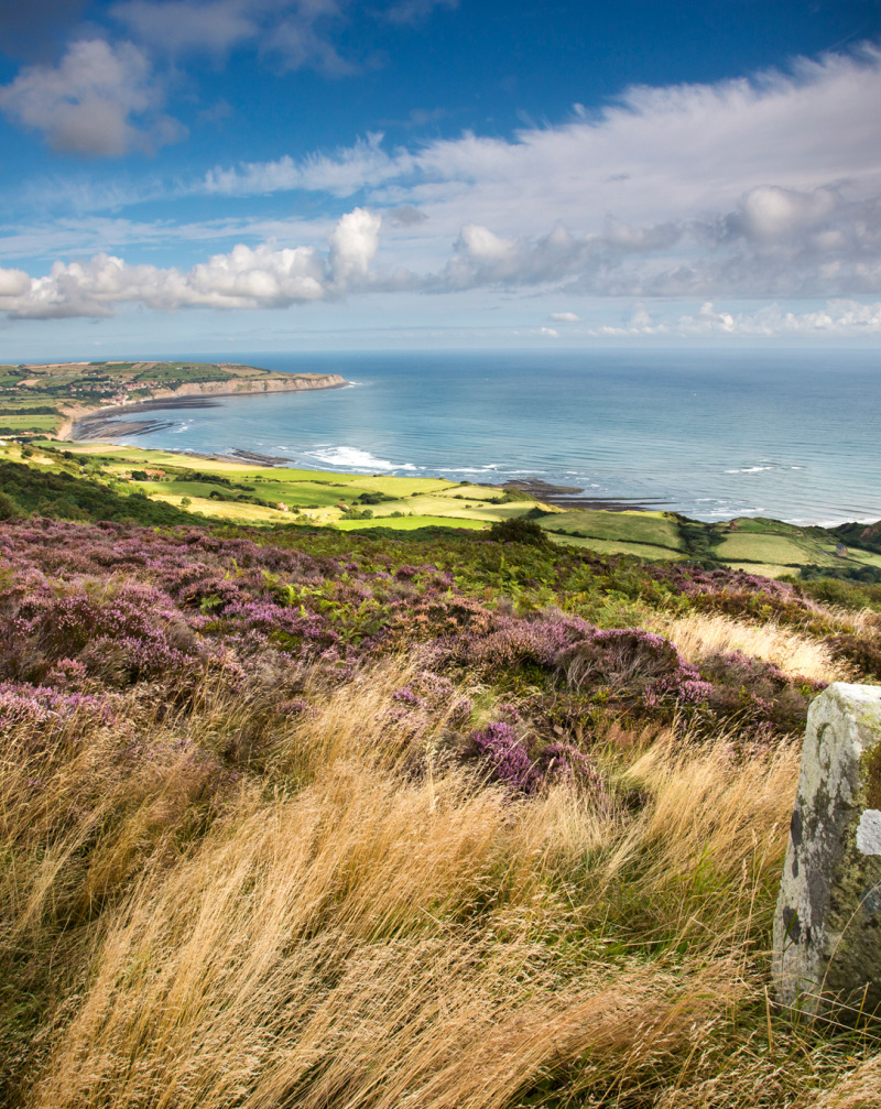 Connect with Nature in the North York Moors