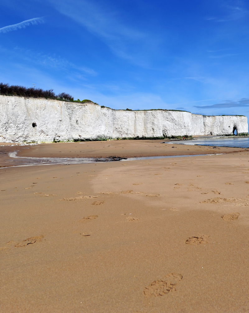 A Coast for All ….. autumn experiences 