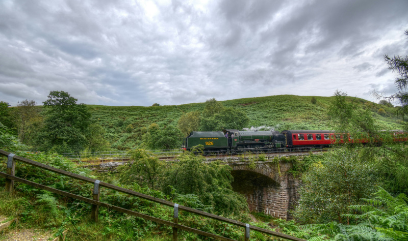 Immerse yourself in new experiences on the North York Moors National Park 