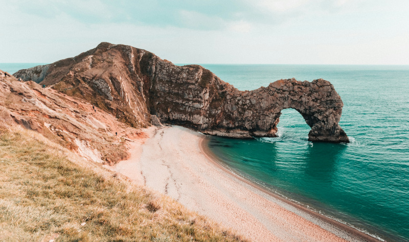 Walks & Wildlife on the Dorset Coast