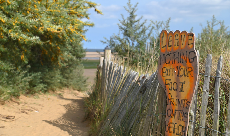 Explore North East Lincolnshire: Beaches, Nature & Coastal Fun