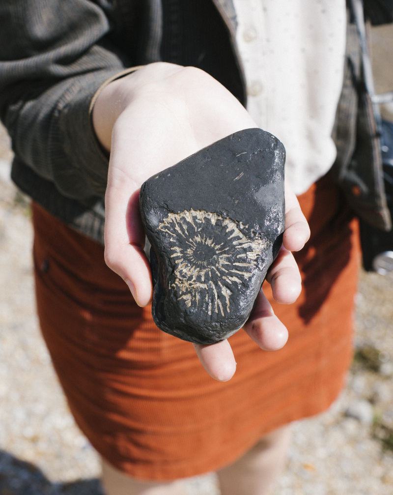 Fossil-hunting on the beach