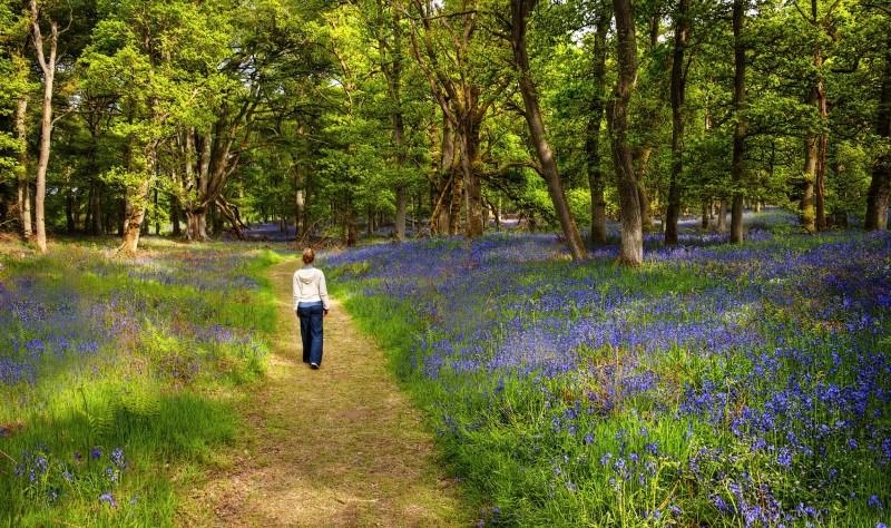 Welcome to White Cliffs Country in Spring 