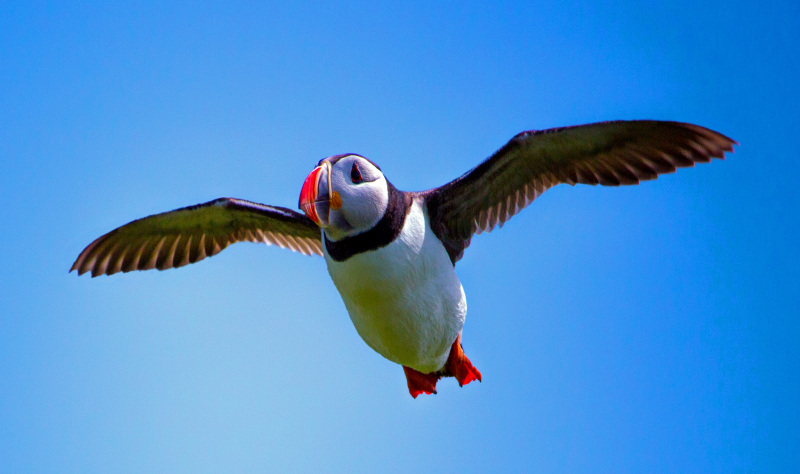 The England Coast Path - Top tips and information