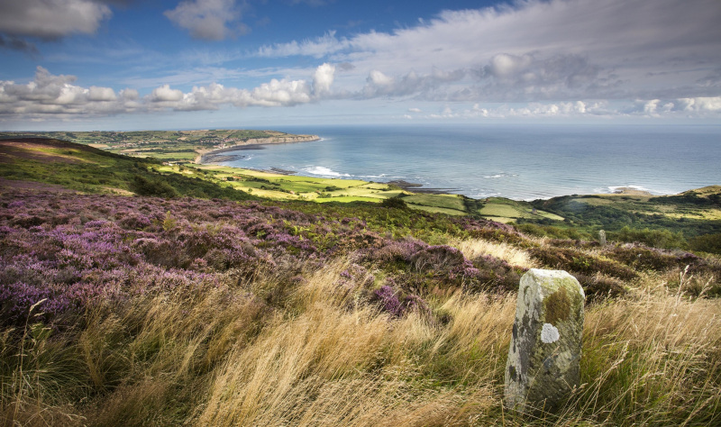 Slow down and get back to nature on the Yorkshire coast