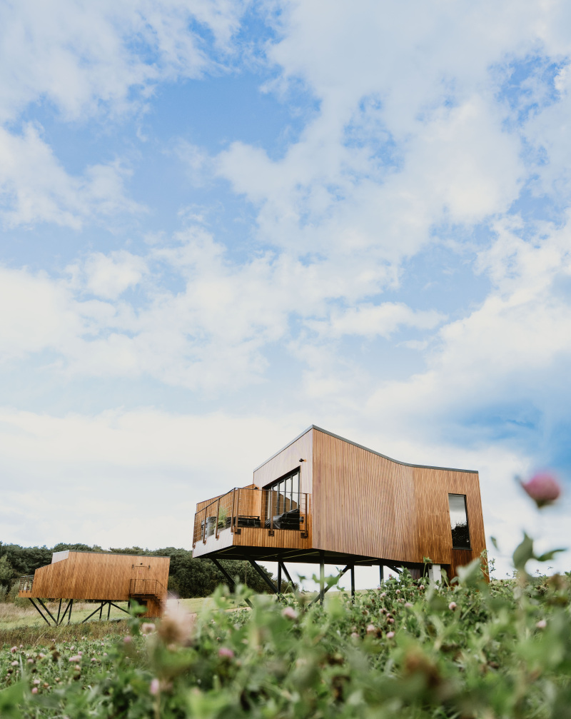 Surprise yourself on the North East coast! 