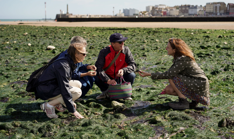 A Coast for All … Fresh flavours by the sea 