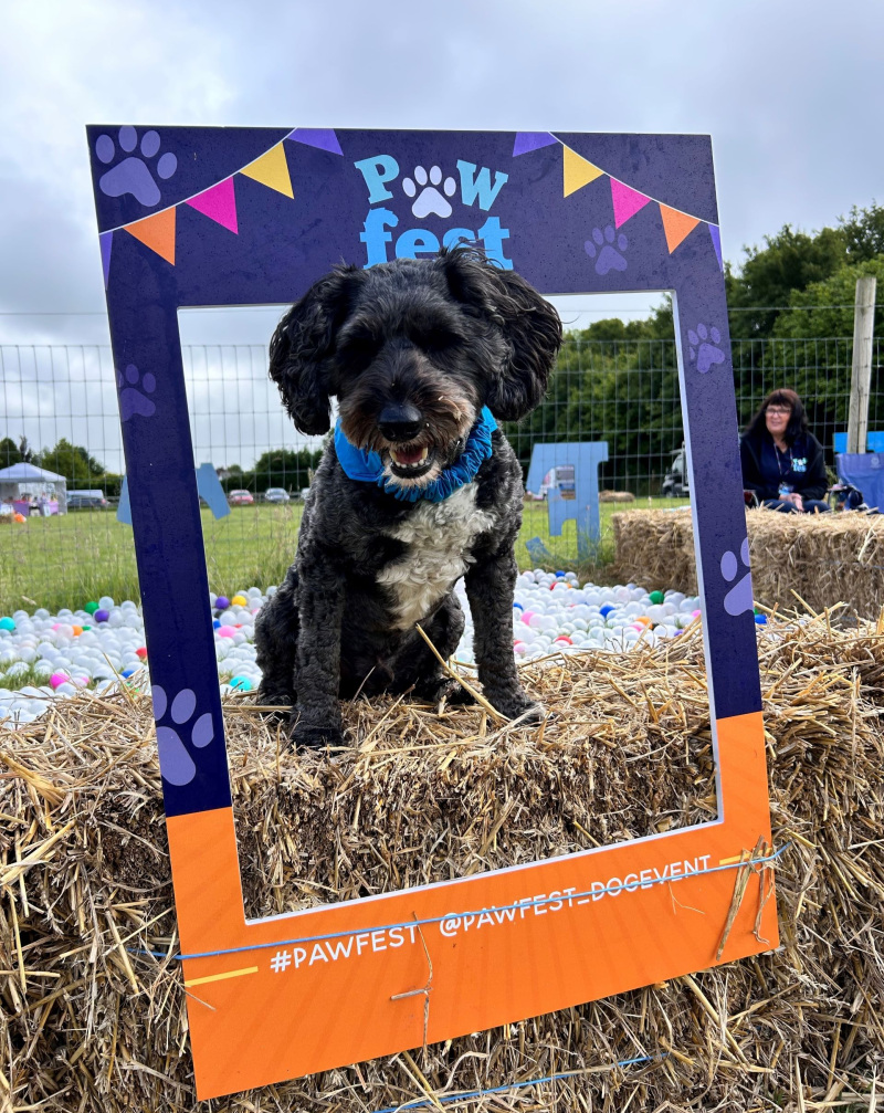 A Coast for All   …  Autumn Colours  