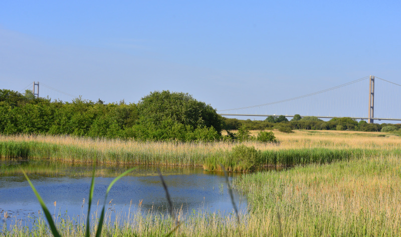 Enjoy Lincolnshire’s Coastal Path 