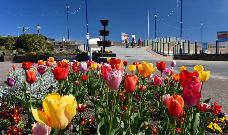 The Lincolnshire Coast: Your Ultimate Family Summer Escape
