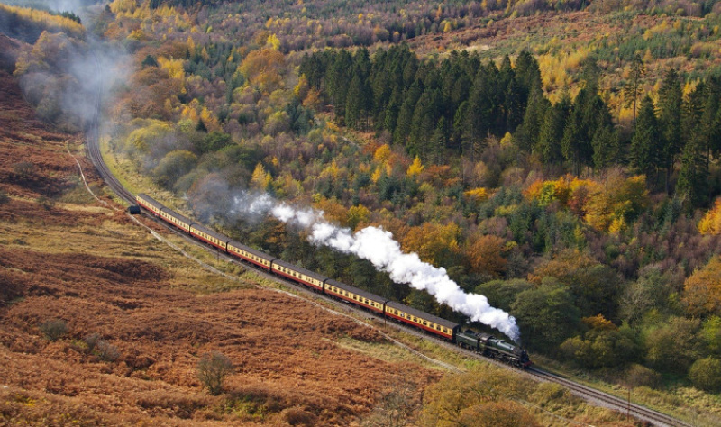Tauchen Sie in die Natur ein, indem Sie den North York Moors Nationalpark erkunden! 