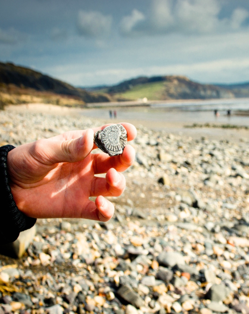 The Coast is Calling … Kids! 