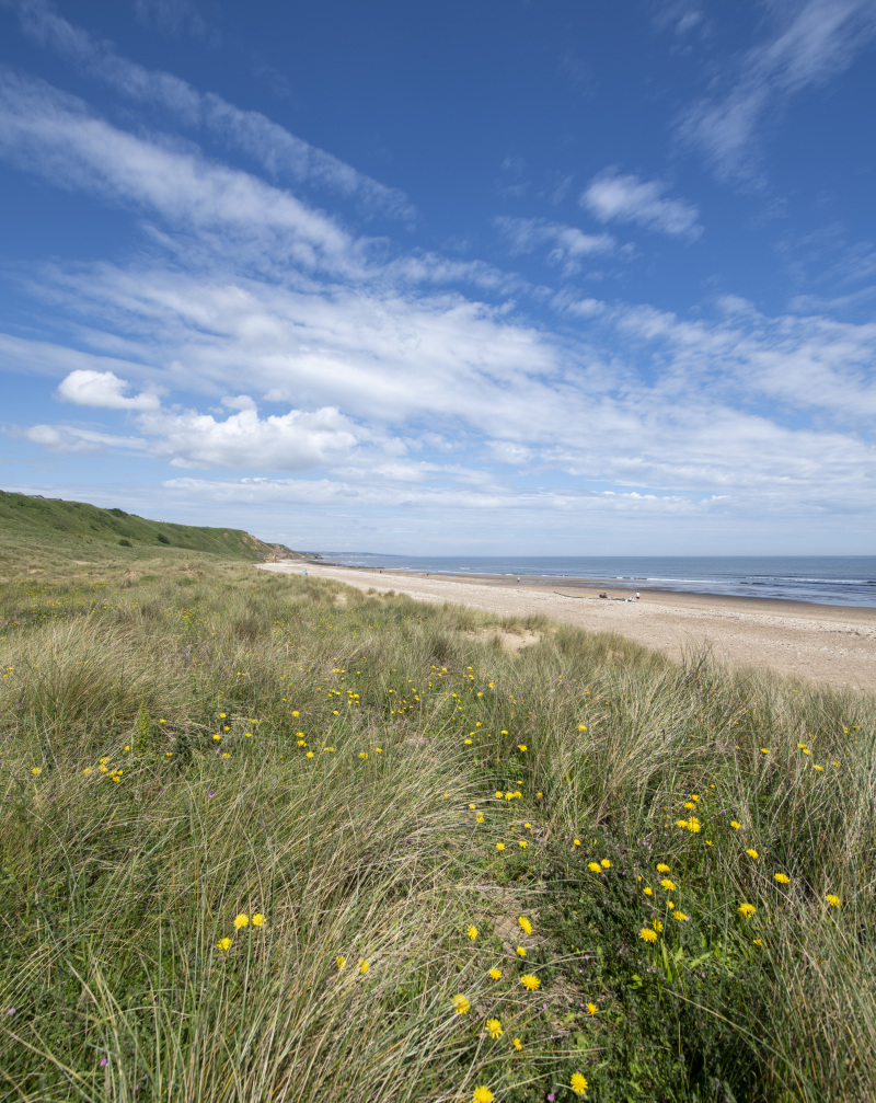 Discover the magic of autumn on the Durham Heritage Coast 