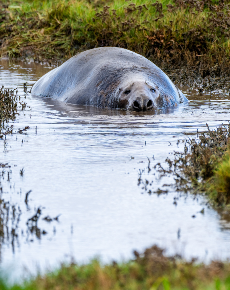 The Lincolnshire Coast: Your Ultimate Family Summer Escape