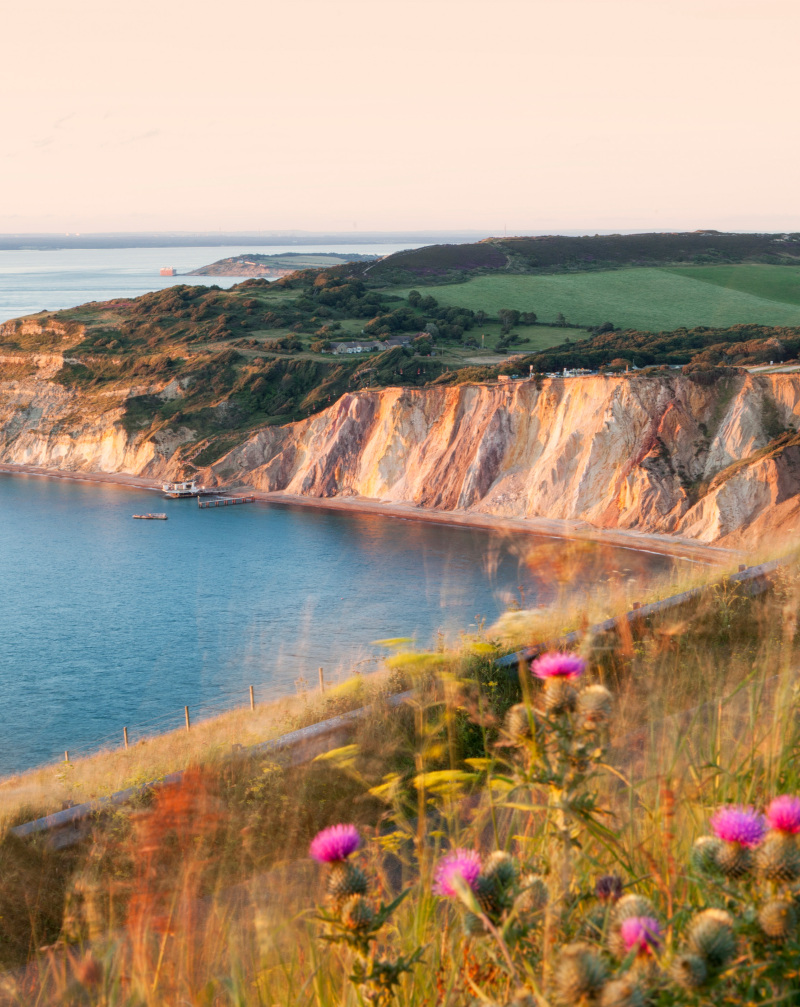 Say Yes to a blooming springtime on the Isle of Wight 
