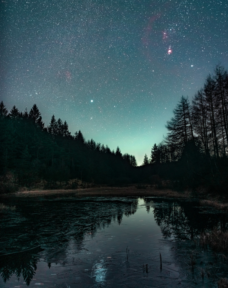 A Coast for All … Starry skies and seasonal treats 