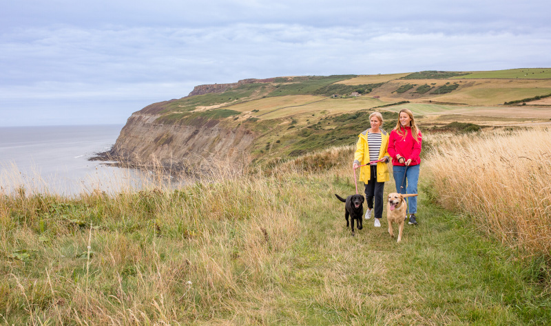 Walk, Wander and Wonder: A Spring Escape to the North York Moors Coast 