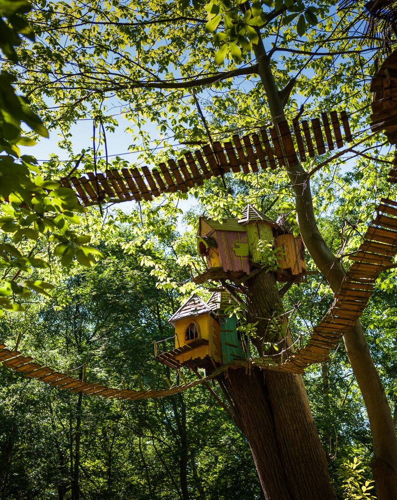 BeWILDerwood Norfolk Adventure Park