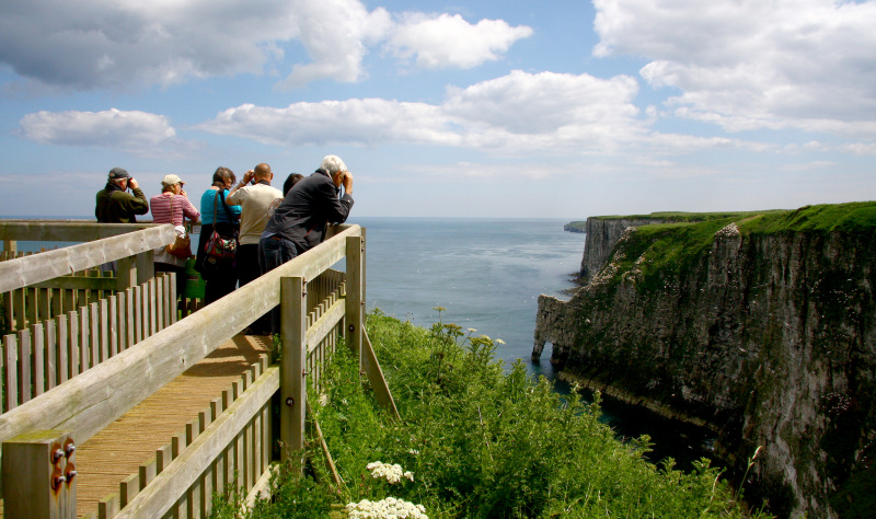 Experience nature on the coast