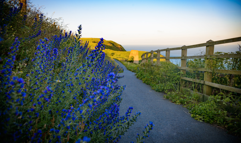 Discover Folkestone and Hythe: Kent’s coastal playground  
