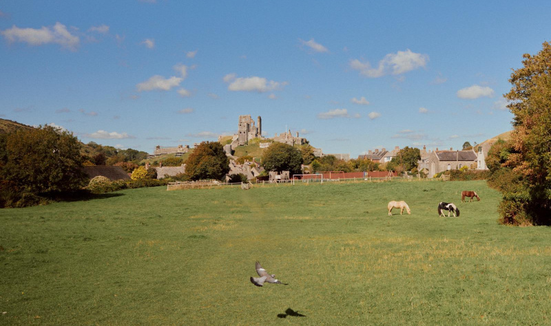 Discover Dorset’s Coast this Spring 