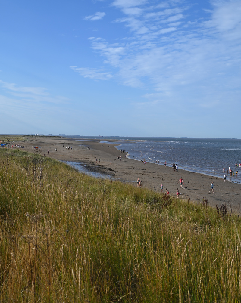 Explore North East Lincolnshire: Beaches, Nature & Coastal Fun