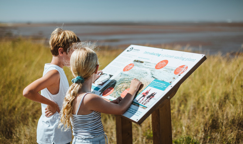 Three reasons to visit the East Yorkshire Coast this summer 