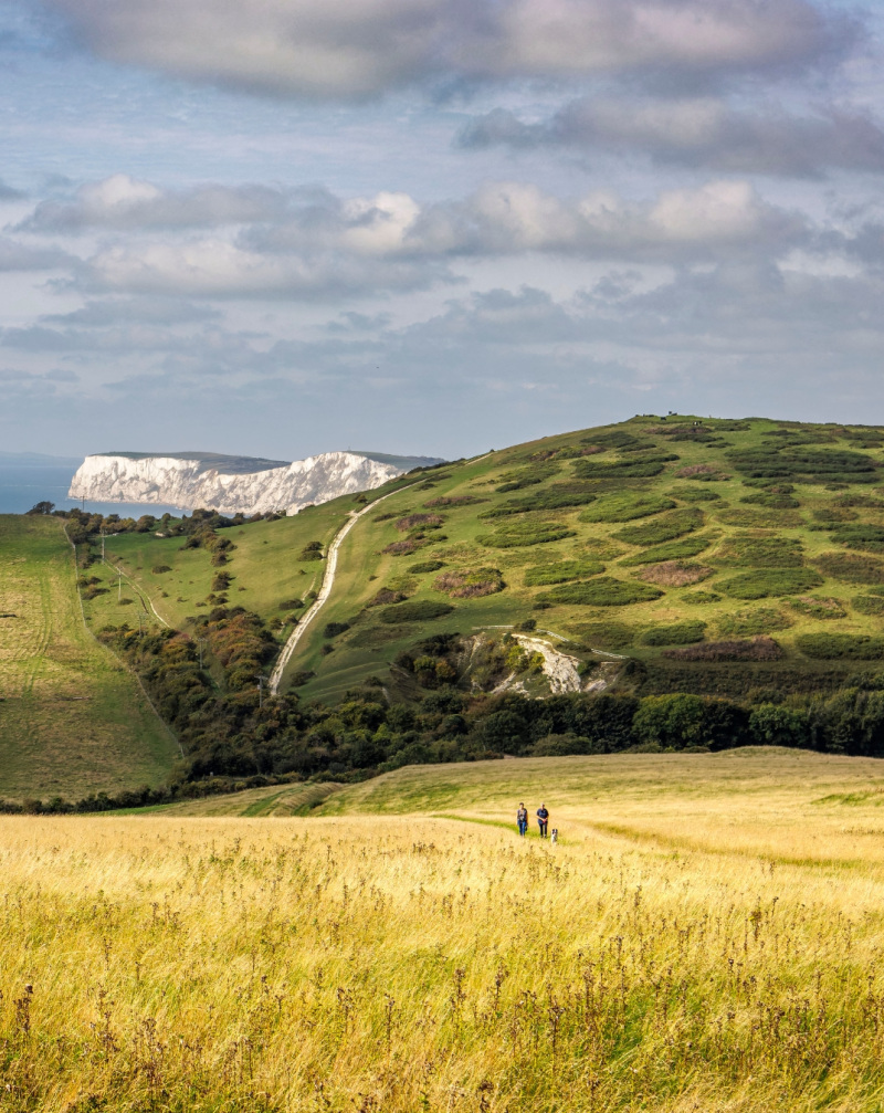 A Coast for All … Starry skies and seasonal treats 