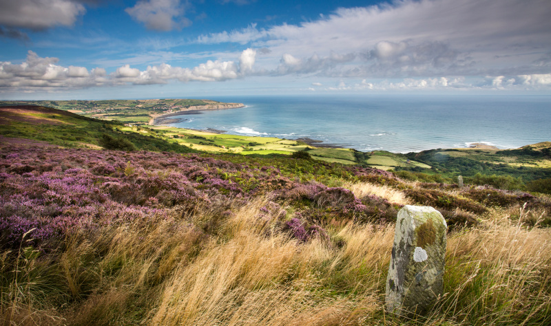 Tauchen Sie in die Natur ein, indem Sie den North York Moors Nationalpark erkunden! 