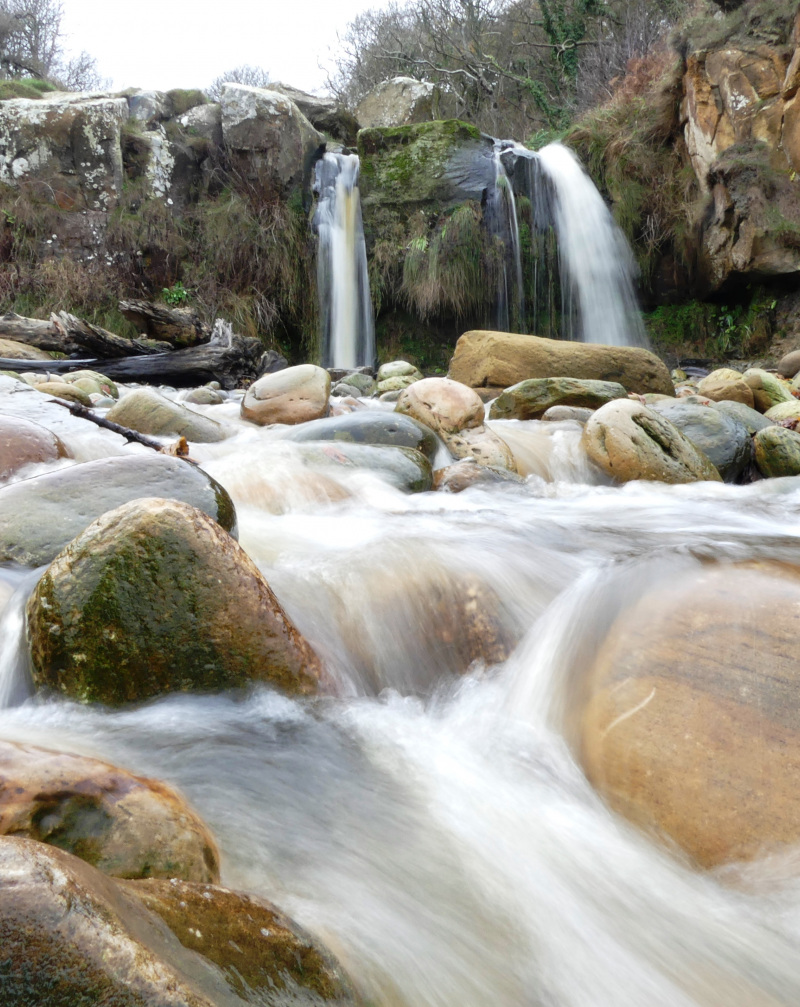 Slow down and get back to nature on the Yorkshire coast