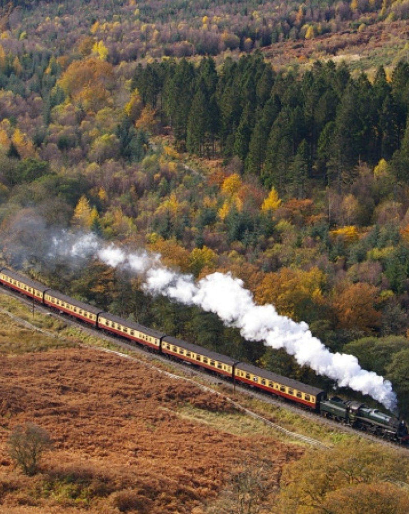 Immerse yourself in new experiences on the North York Moors National Park 