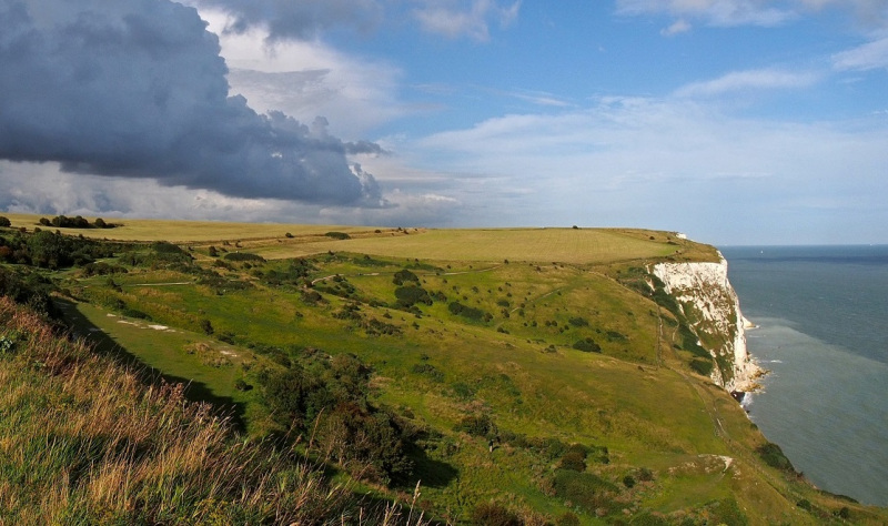 Going Green in White Cliffs Country