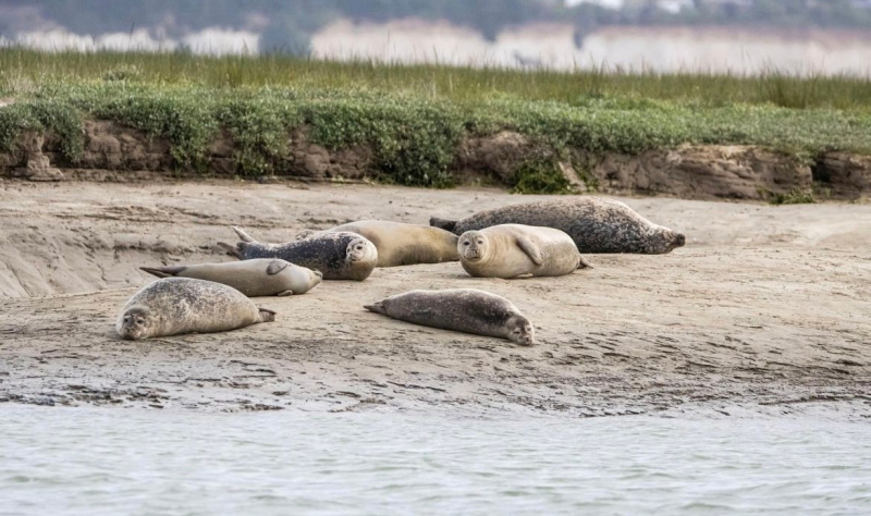 A Coast for All …. to explore the natural world 