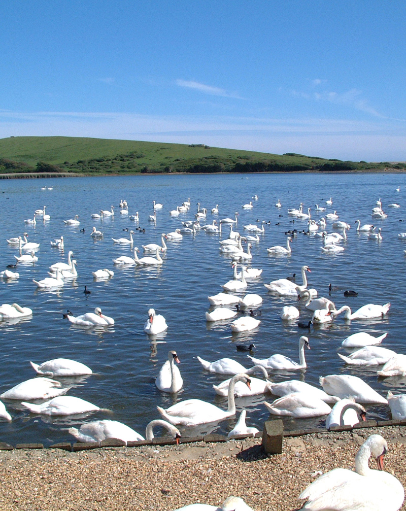 A Coast for All …. to explore the natural world 