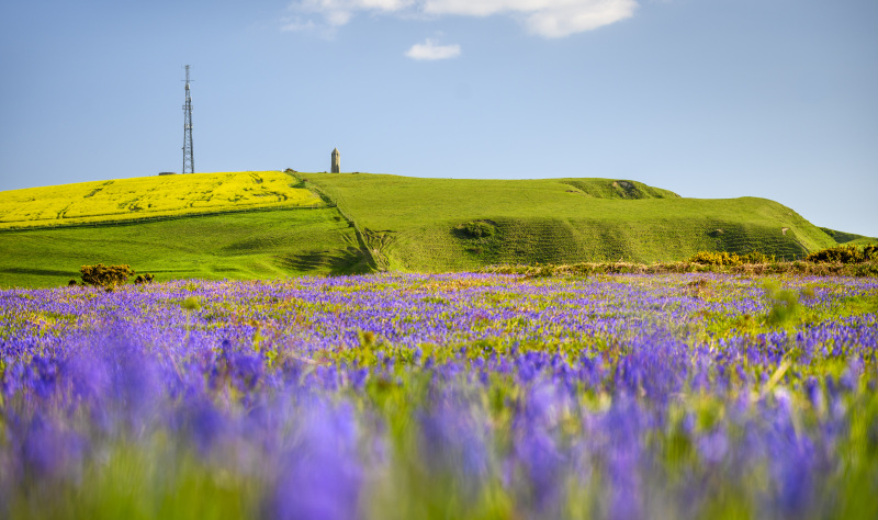 What’s new on England's coast for 2024? 