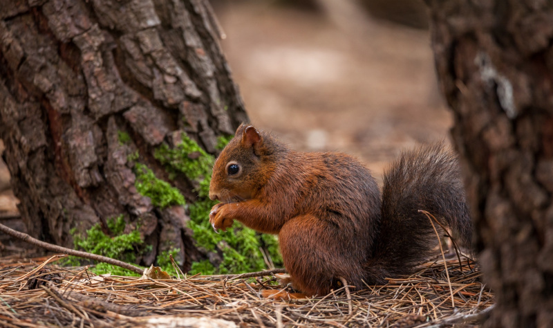 A Coast for All …. to explore the natural world 