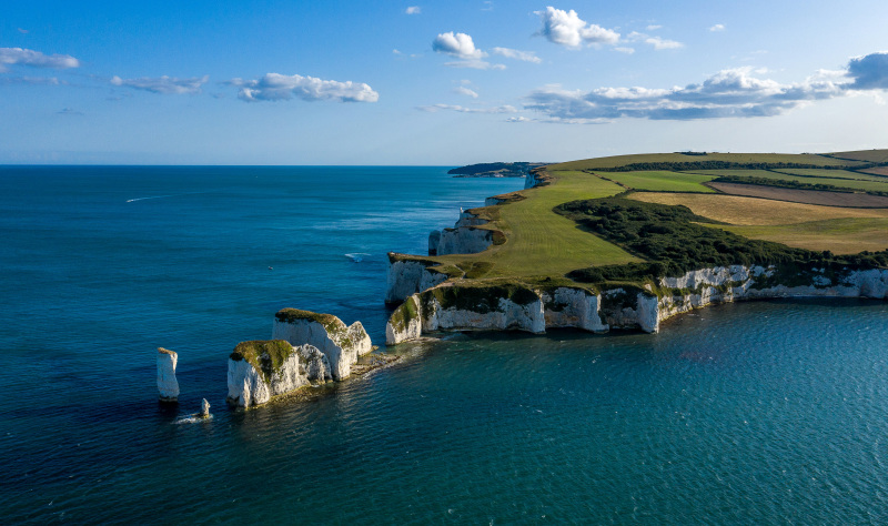 Walks & Wildlife on the Dorset Coast